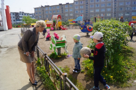 Проверки детских садов